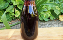 Sausmedžio uogų tyrė, 250 ml