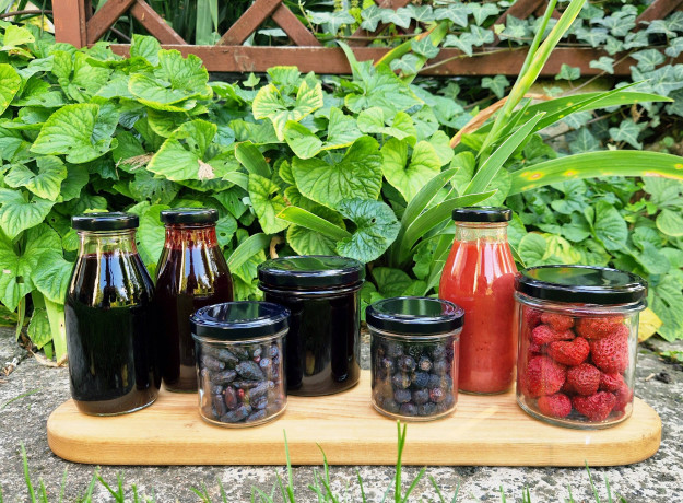 Sausmedžio uogų sultys, 250 ml