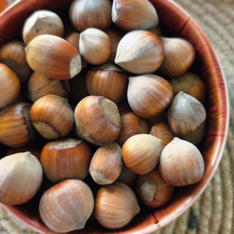 Lazdyno riešutai kevaluose, kg