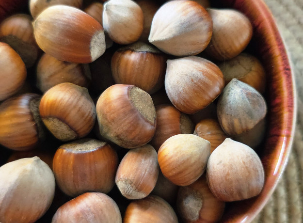 Lazdyno riešutai kevaluose, kg