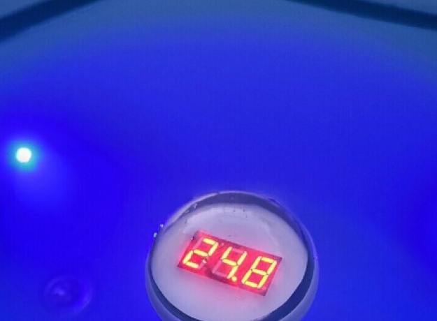 Skaitmeninis kubilo termometras TEMPGLO