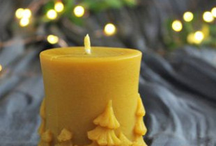 Žvakė KALĖDOS MIŠKE iš...