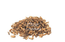 Džiovinti svirpliai – LARGE dydžio (130g)