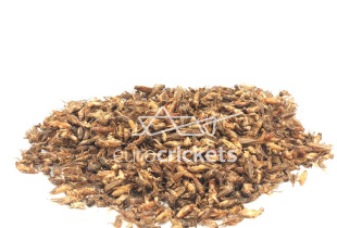 Džiovinti svirpliai –...