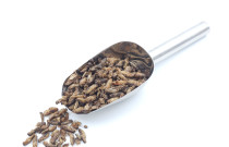 Džiovinti svirpliai – LARGE dydžio be kojų (200g)