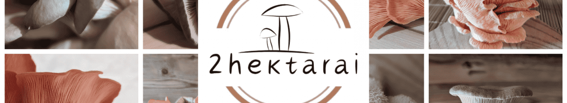 2hektarai