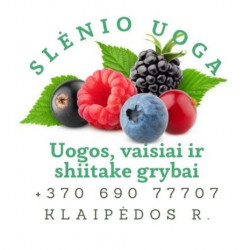 Slėnio uoga - Lietuvoje užaugintos uogos, vaisiai ir šitake grybai