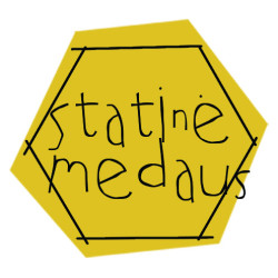 Statinė medaus