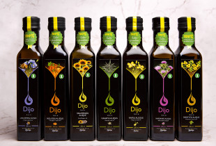 Dijo ūkis