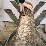 Liūto karčiai 4 l pjuvenų rąstams