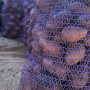 Violetinės bulvės 'Bergerac' 10 kg