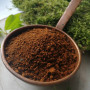 Juodasis beržo grybas (Chaga)