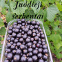 Juodieji serbentai, 1 kg