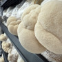 Švieži Lion's Mane grybai 1 kg