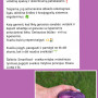 Violetinės bulvės 'Bergerac' 10 kg