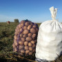 Atrinktos bulvės iš Širvintų (nenaud. pesticidų)