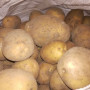 Atrinktos bulvės iš Širvintų (nenaud. pesticidų)