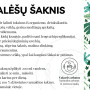 VARNALĖŠŲ ŠAKNIS – organizmo šluota iš gamtos