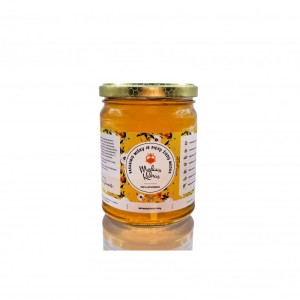 Poliflorinis medus 0,7 kg (suktas vasaros metu)