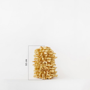 Naminis Jolantos šakotis su sviestu, 2.5kg