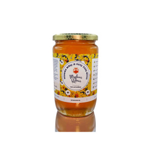 Poliflorinis medus 1 kg (suktas vasaros metu)