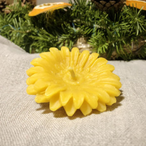 „Gerbera plaukianti” - bičių vaško žvakė