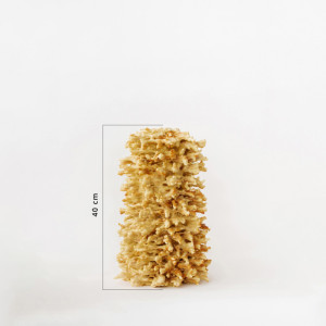 Naminis Jolantos šakotis su sviestu, 3.5 kg