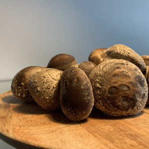 Švieži Šitake Grybai 1kg