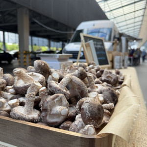 Švieži Šitake Grybai 500 g