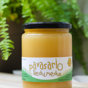 Pavasario žiedų medus 700 g