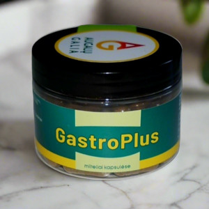 Vaistažolių mišinys  kapsulėse- Ramus skrandis „Gastro plius” 60 kapsulių