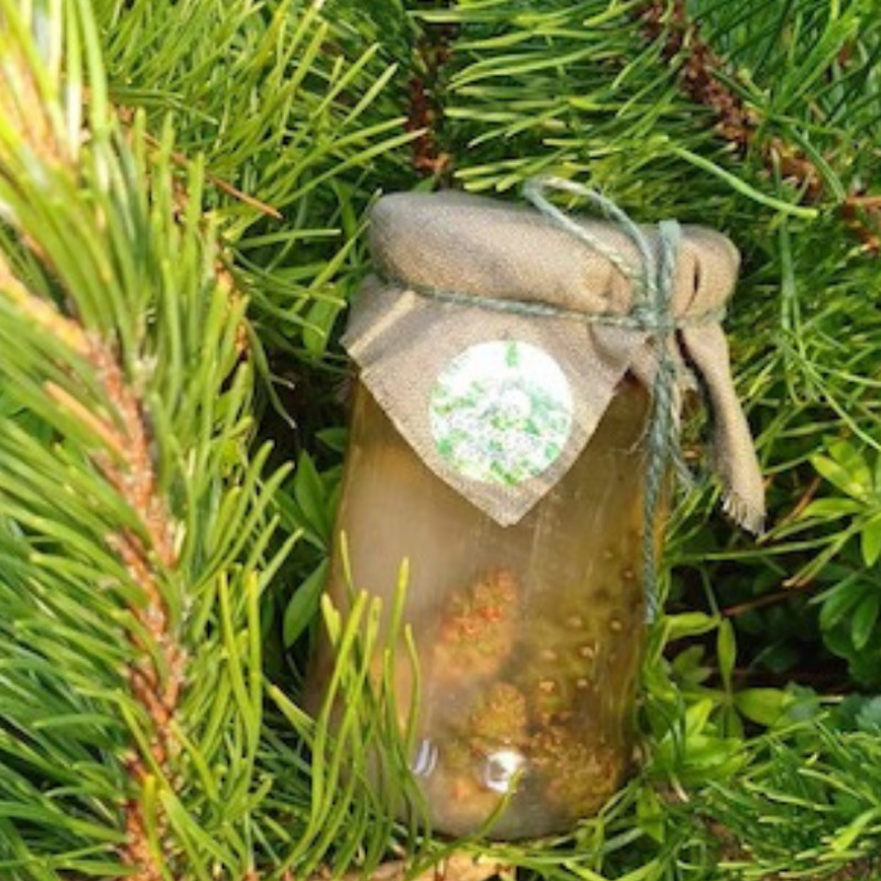 Kankorėžių Sirupas 190ml