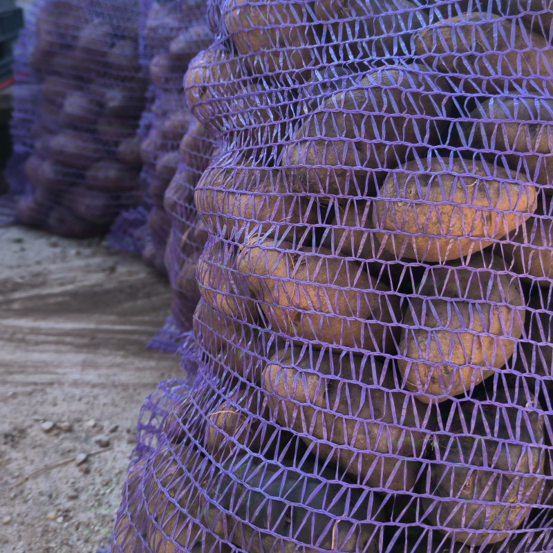 Violetinės bulvės 'Bergerac' 10 kg