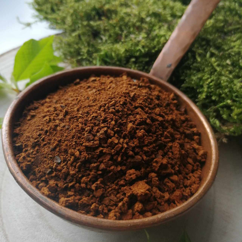 Juodasis beržo grybas (Chaga)