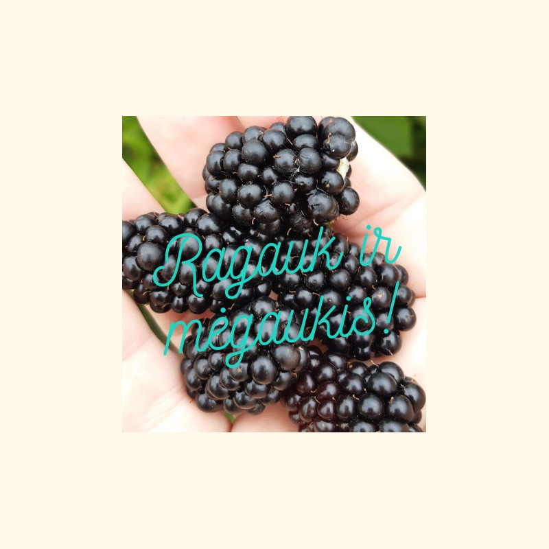 Lietuviškos gervuogės, 500 g
