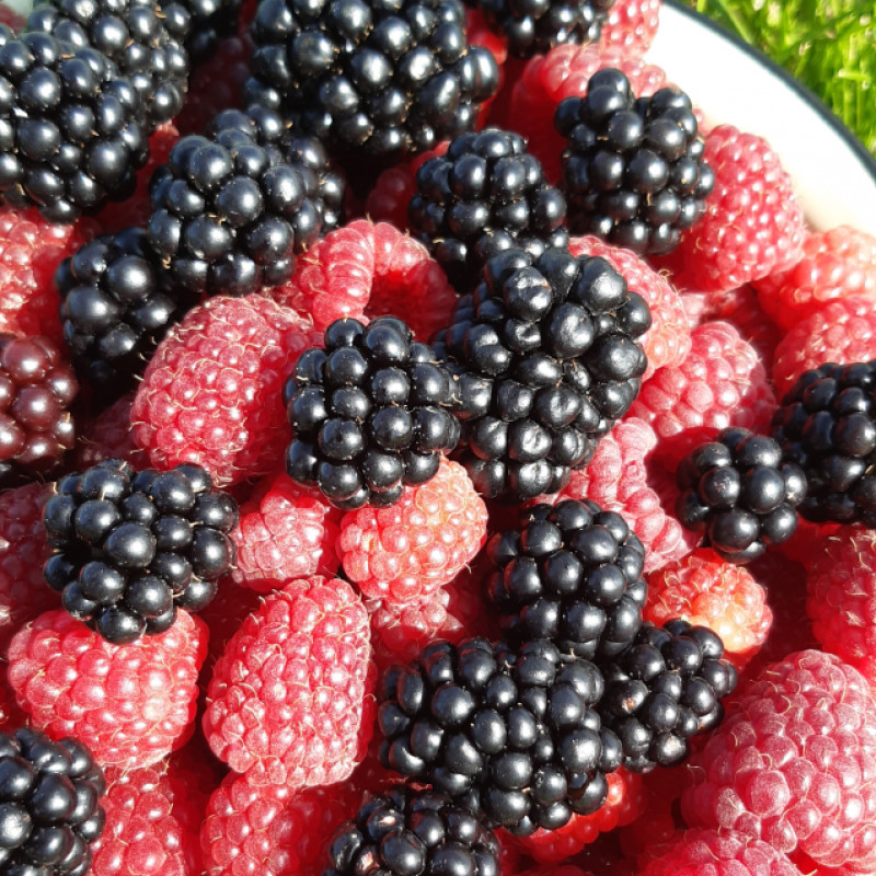 Lietuviškos gervuogės, 500 g