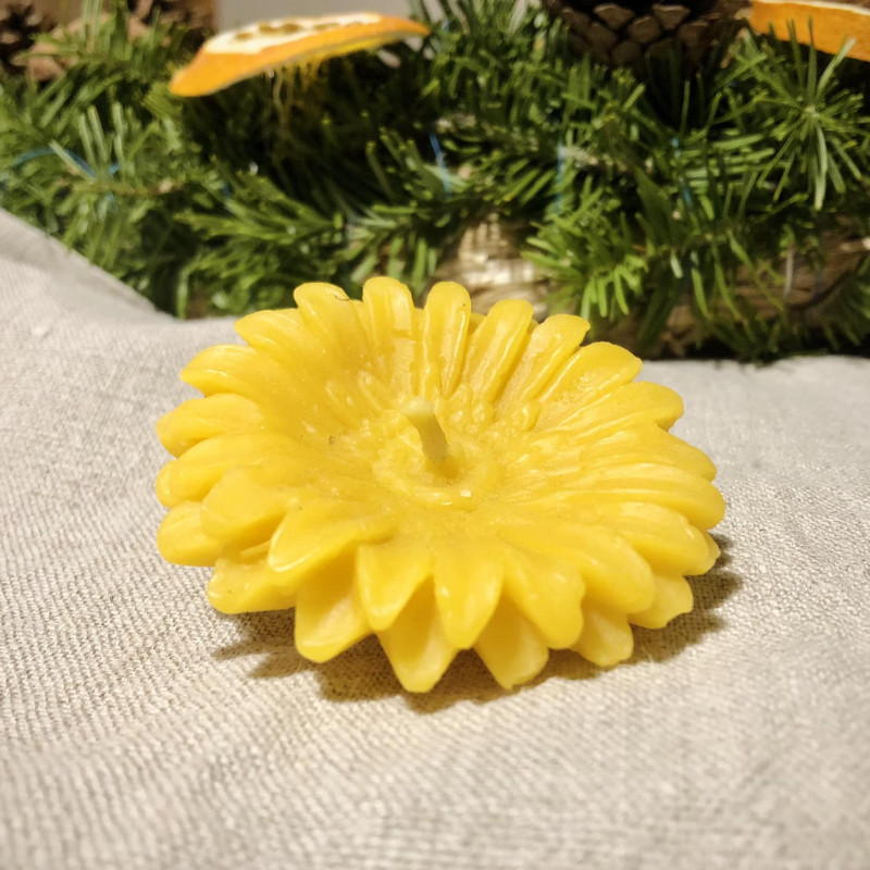 „Gerbera plaukianti” - bičių vaško žvakė