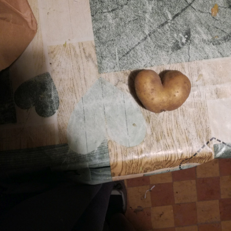 Atrinktos bulvės iš Širvintų (nenaud. pesticidų)