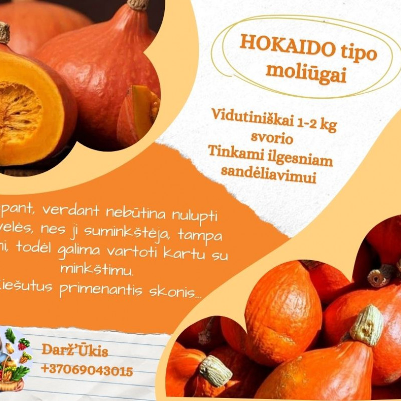 Hokaido tipo moliūgai