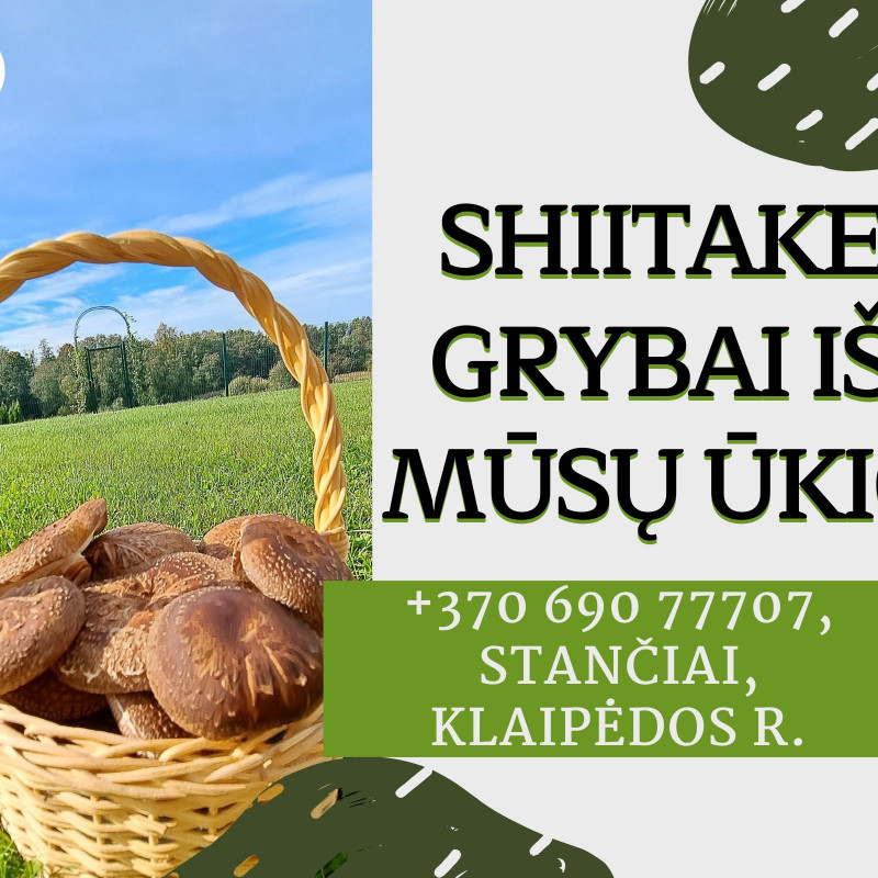 Shiitake grybai užauginti natūraliai ant rąstelių tiesiai iš ūkio, 1 kg
