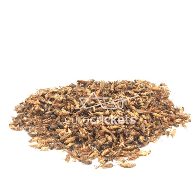 Džiovinti svirpliai – STANDARD dydžio (50g)