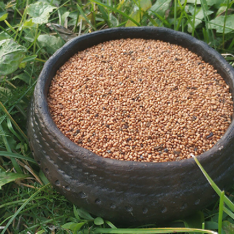 Ekologiškas judrų sėklų aliejus 250 ml