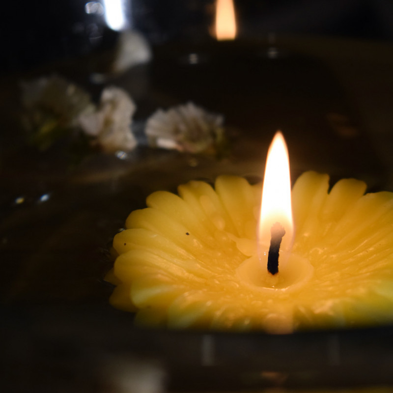 „Gerbera plaukianti” - bičių vaško žvakė