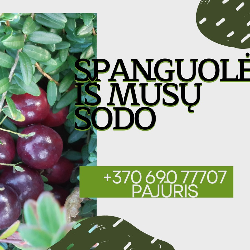 Lietuviškos spanguolės, l