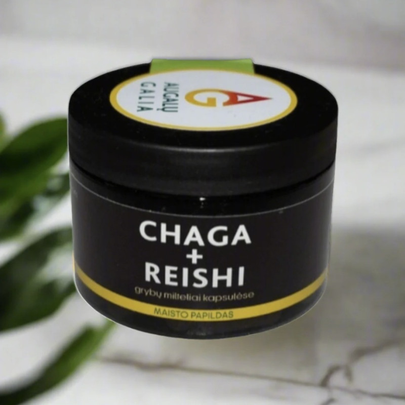 Beržo grybas Chaga ir Tikrinis blizgutis Reishi 60 kapsulės