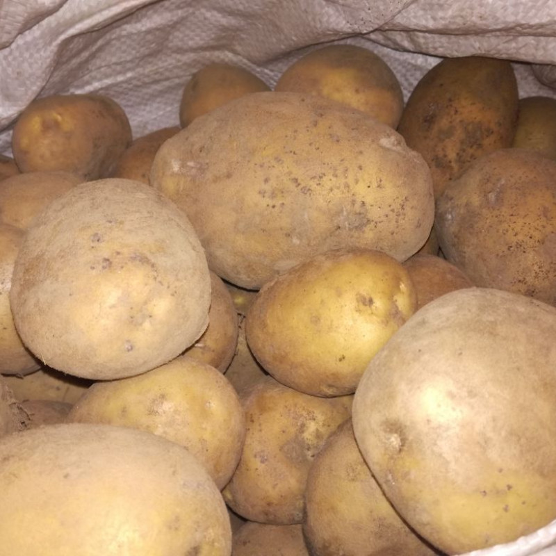 Atrinktos bulvės iš Širvintų (nenaud. pesticidų)