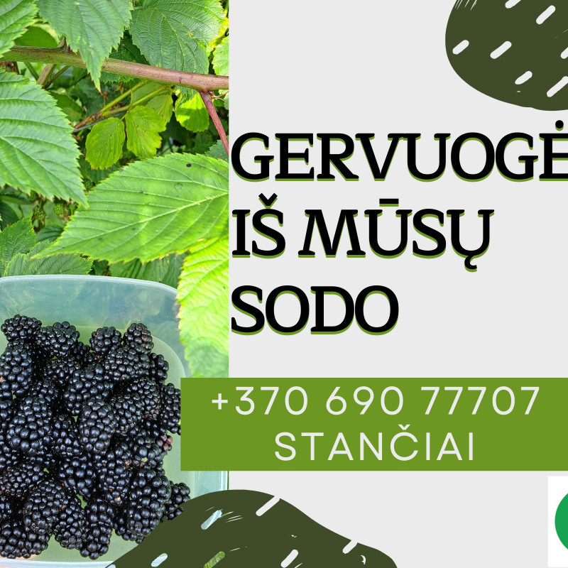 Lietuviškos gervuogės, 500 g