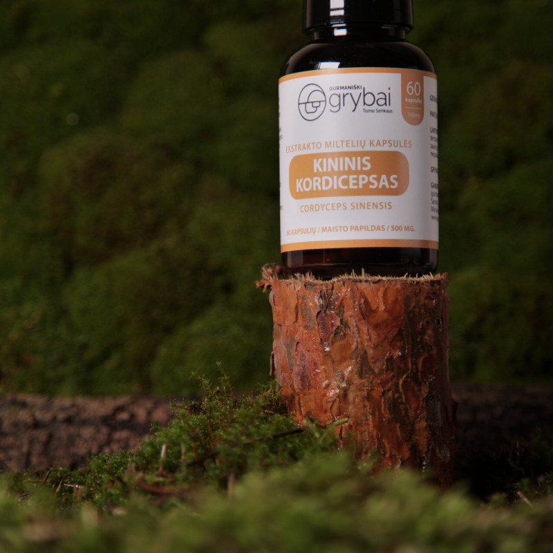 Cordyceps grybų ekstrakto miltelių kapsulės