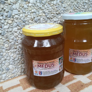 Rapso medus 1 kg jau susikristalizavęs 2026 m. gegužės mėn.