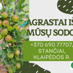 Agrastai užauginti tvariai, 10 l